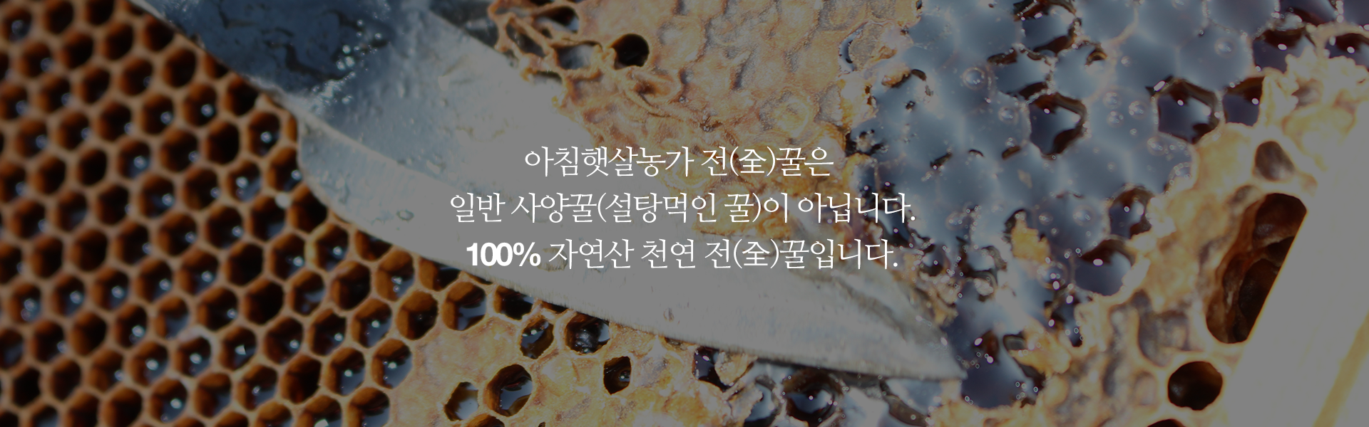 아침햇살 벌꿀